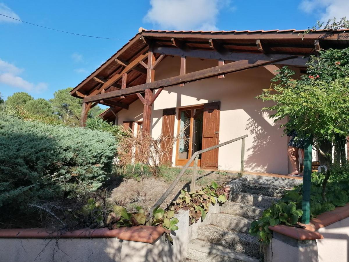 Maison Au Dessus Du Lac De Biscarrosse Eksteriør bilde